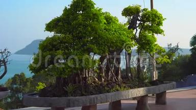 越南Phu Quoc岛上的一座<strong>芽庄</strong>寺庙Ho Quoc塔内有一棵大盆景树